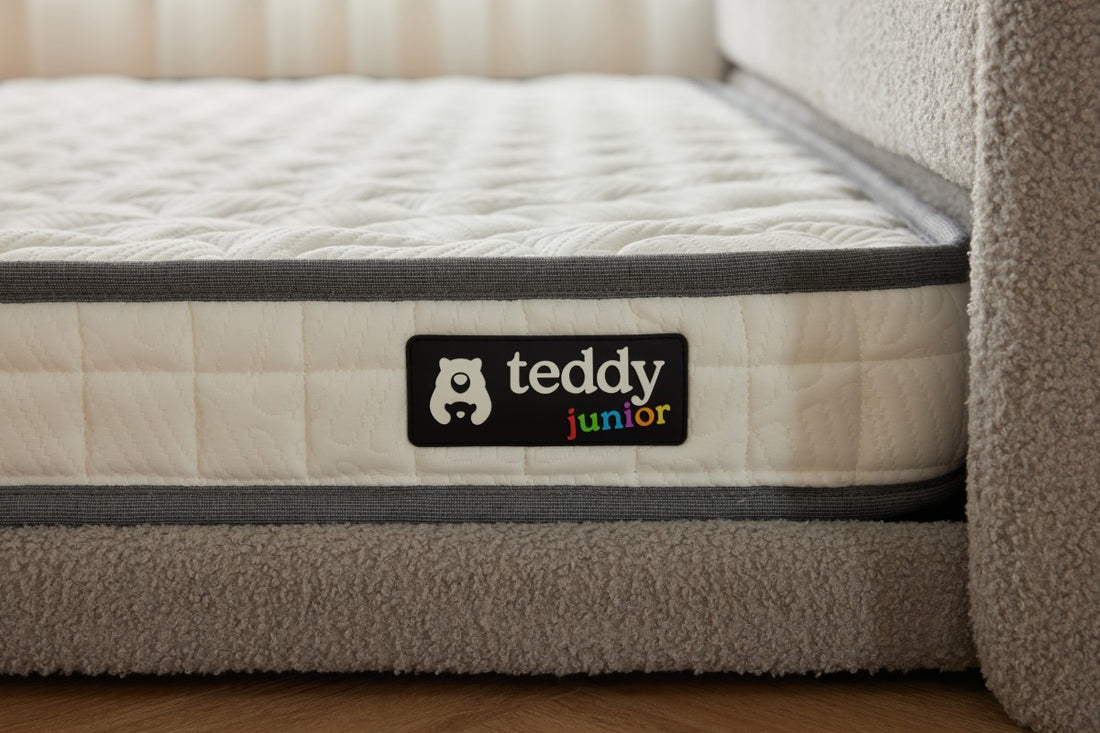 Teddy Trundle & Mattress Bundle