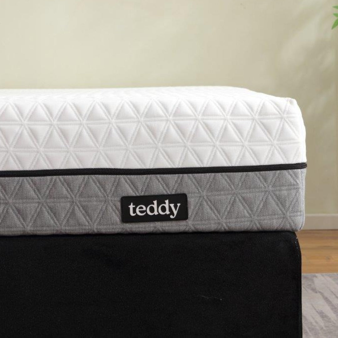 teddy Junior Elite
