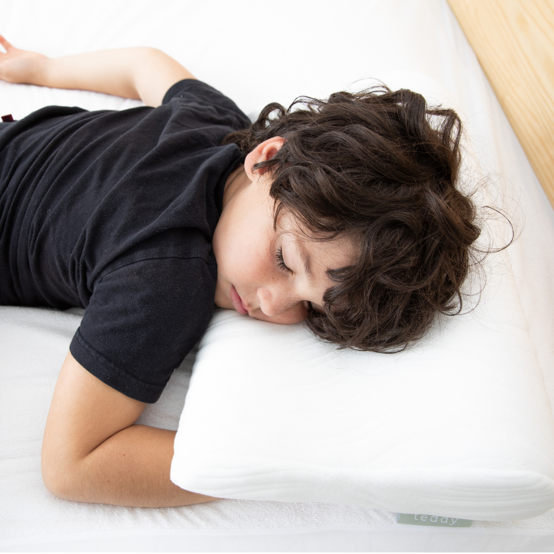 teddy Junior Pillow - Kids Pillow