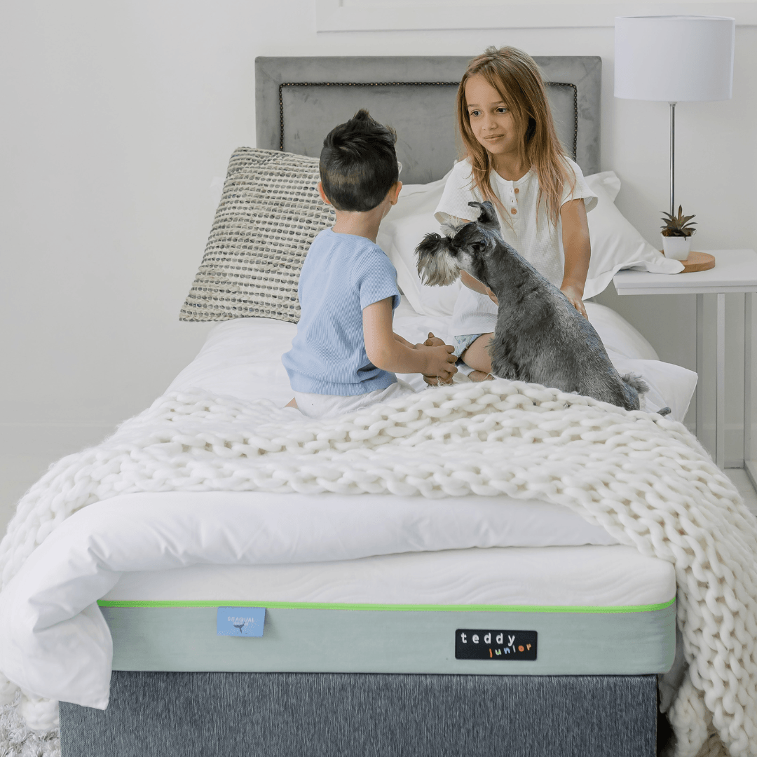 Double & Single Sibling Bundle with FREE Pillows - teddybed