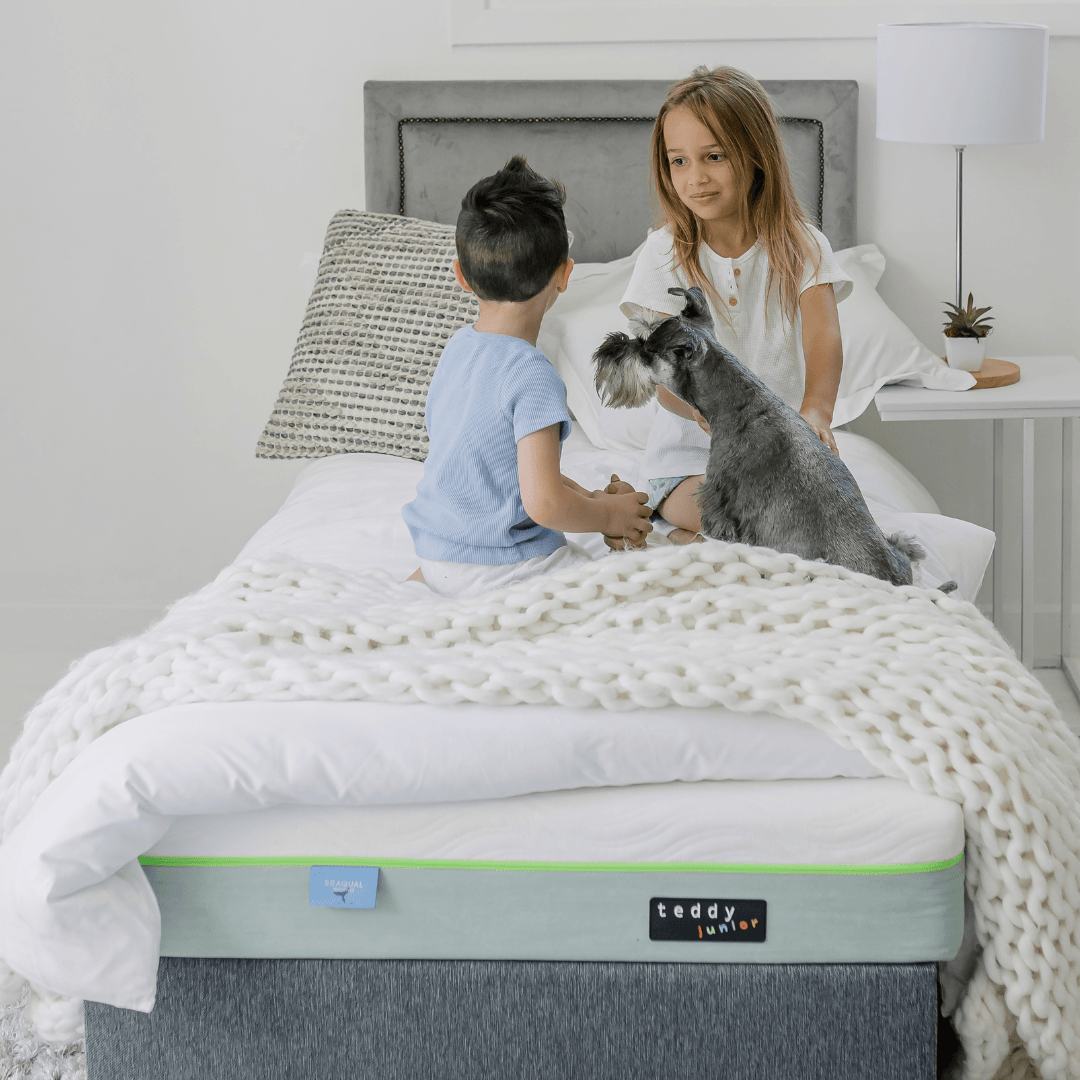 Double &amp; Single Sibling Bundle with FREE Pillows - teddybed